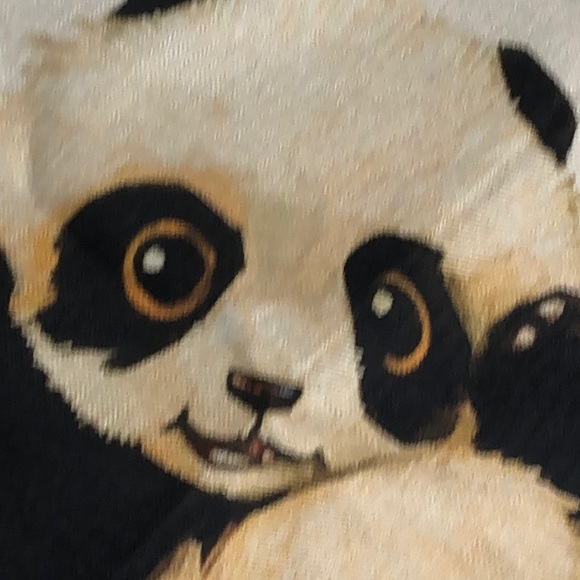 Baby Panda Canvas Pillow Cover - Picture 2 of 4